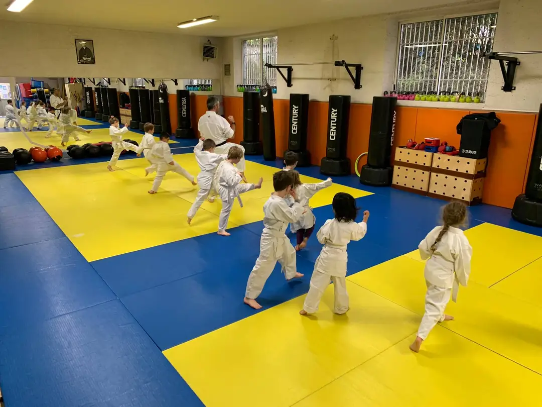Salle Dojo Embiane