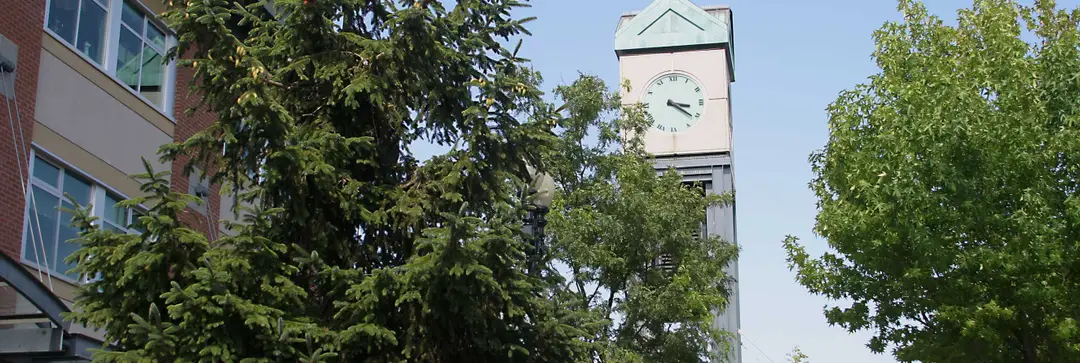 Yarrow Rugby Club