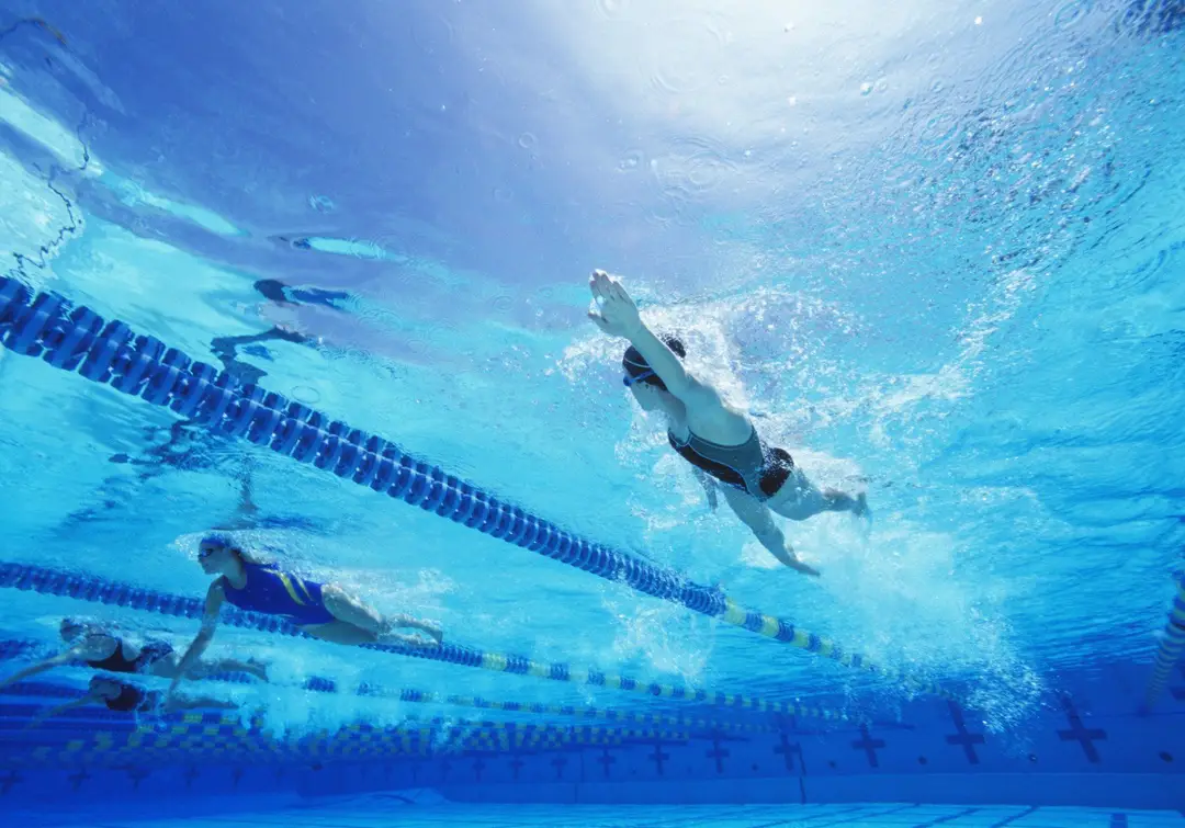 Judy Sporle School of Swimming
