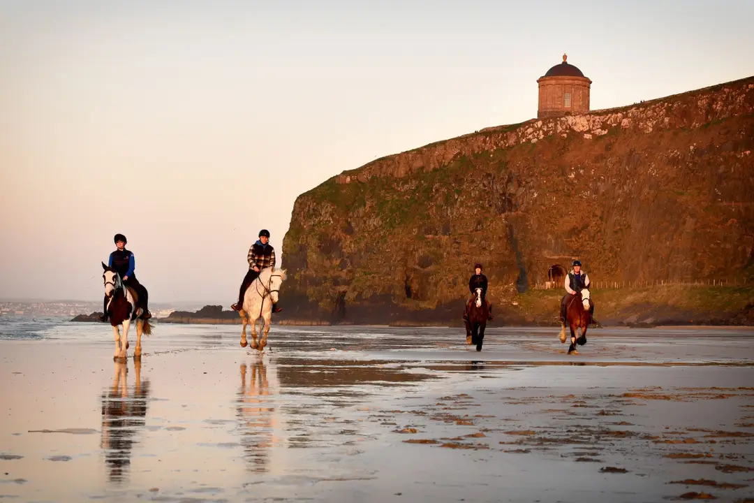 Crindle Bespoke - Equestrian Experiences