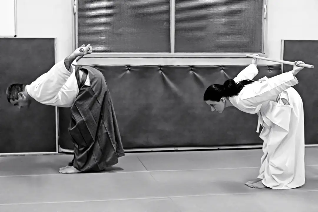 Academy Chambéry D'aikishintaiso