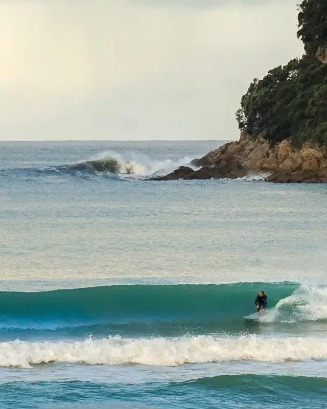 Surfsup New Zealand Office
