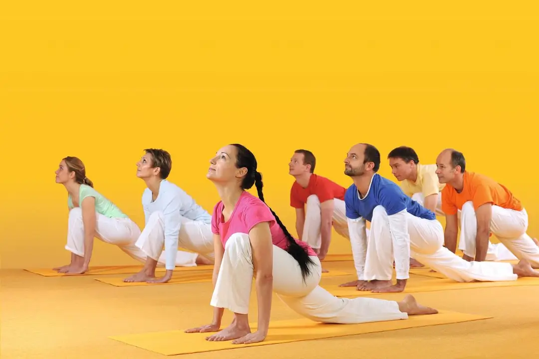 Sivananda Yoga Centre Montreal