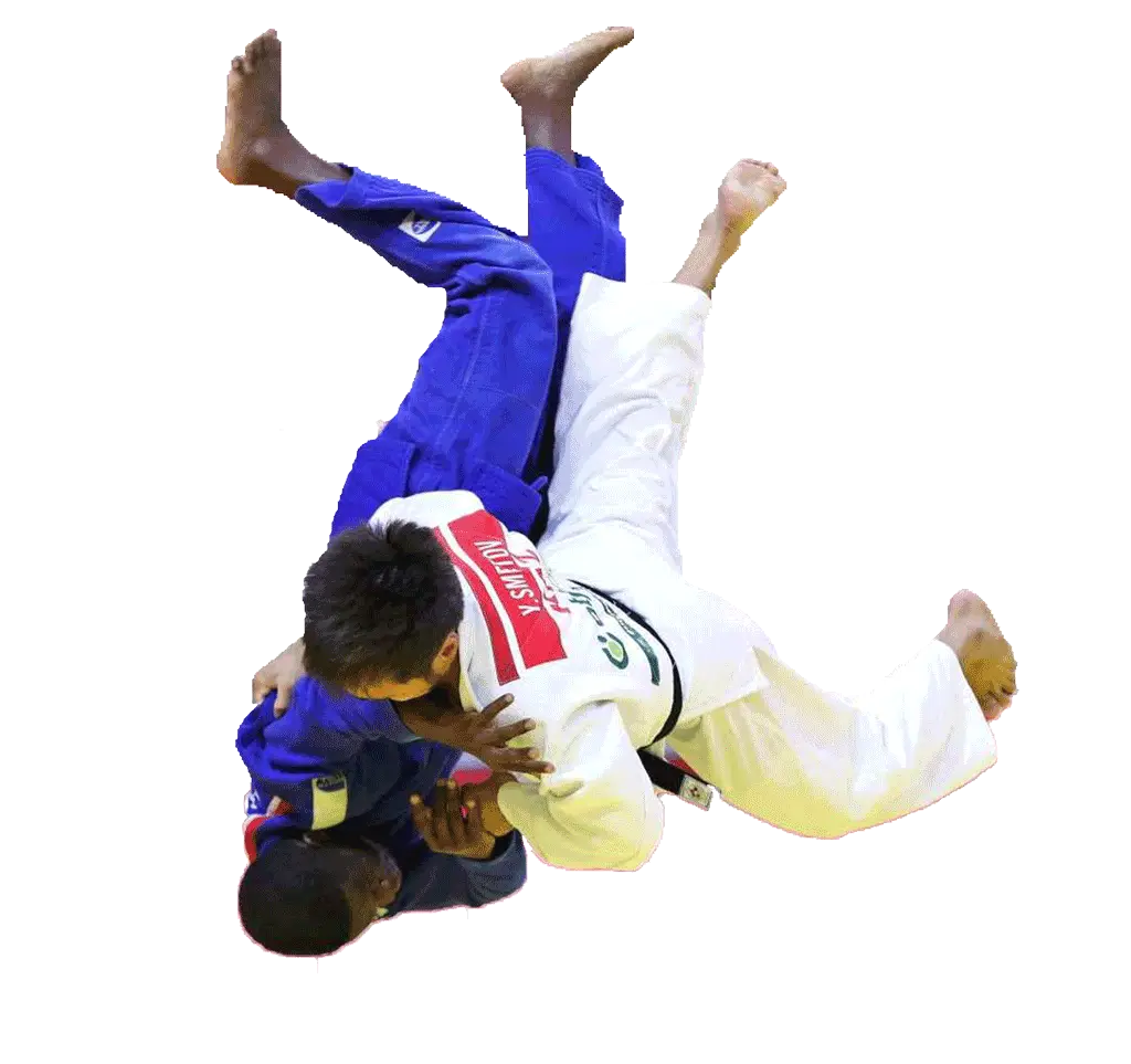 Hayabusakan Judo Club