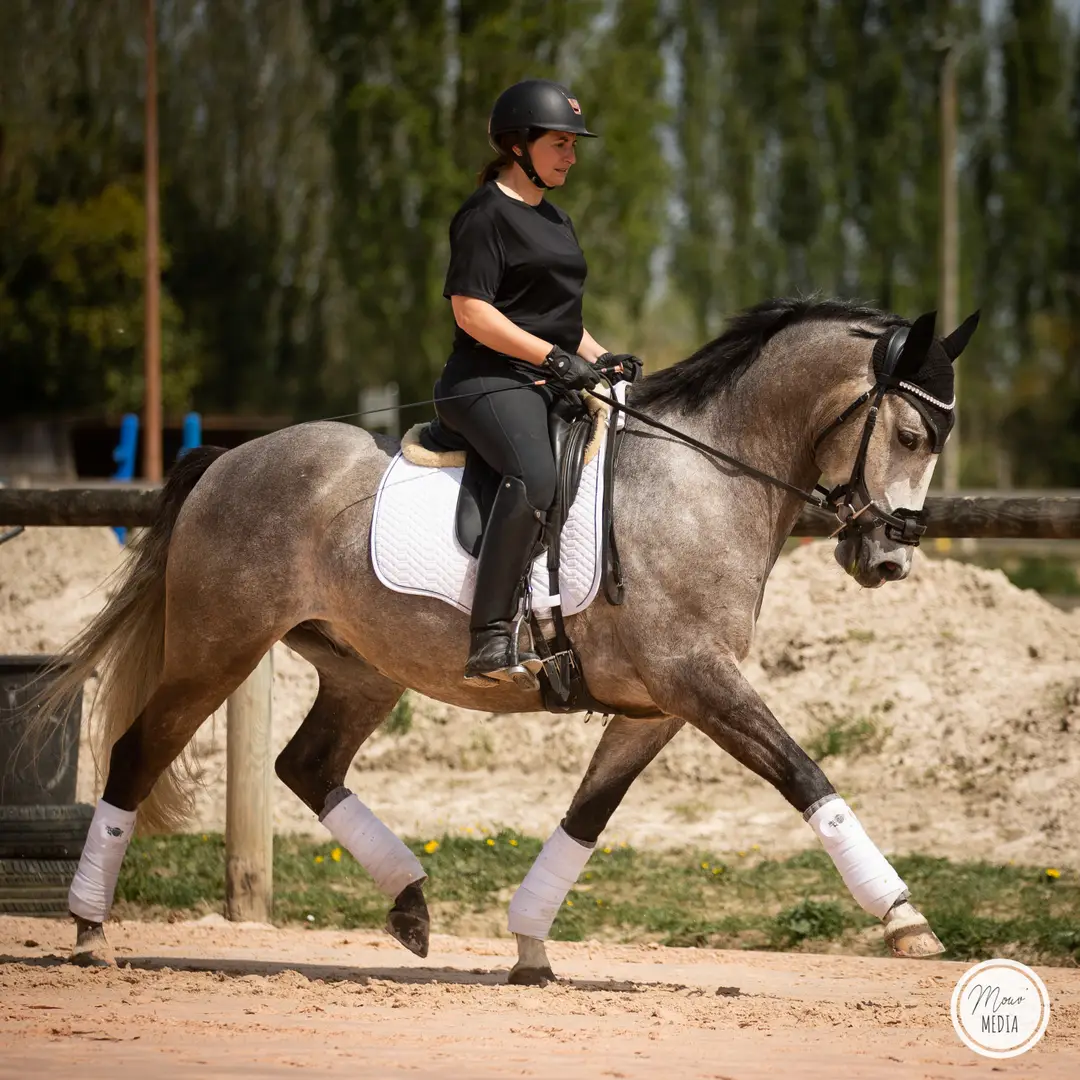 Equestrian Club Du Garrel