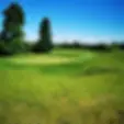 Revans Golf
