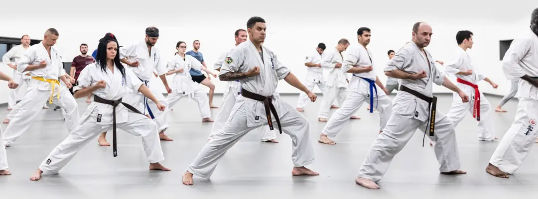 Elite Martial Arts Richmond