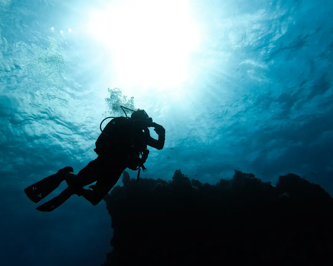 Double Arrow Dive Company