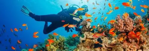 Dive UK Hurghada