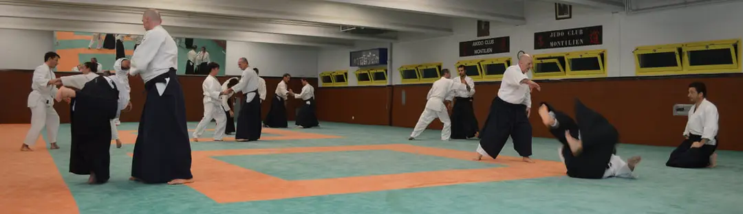 Aikido Club Montilien