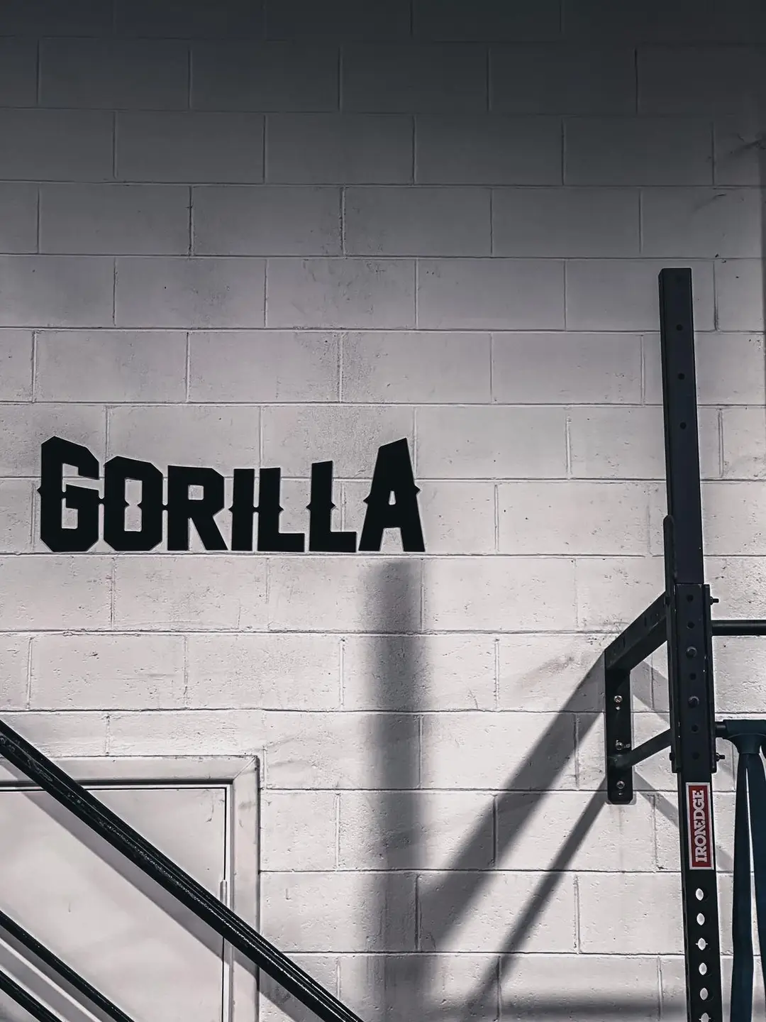 Gorilla Training