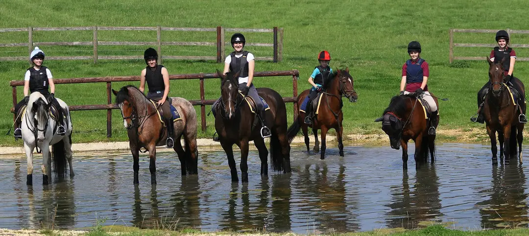 Turpins Lodge Riding School