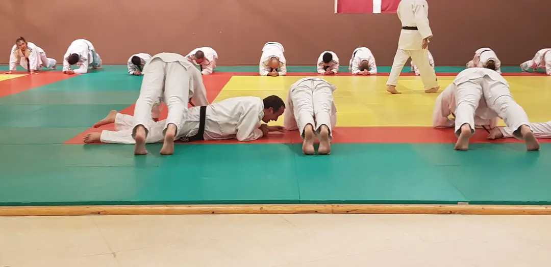 Vigilante Malemort Judo
