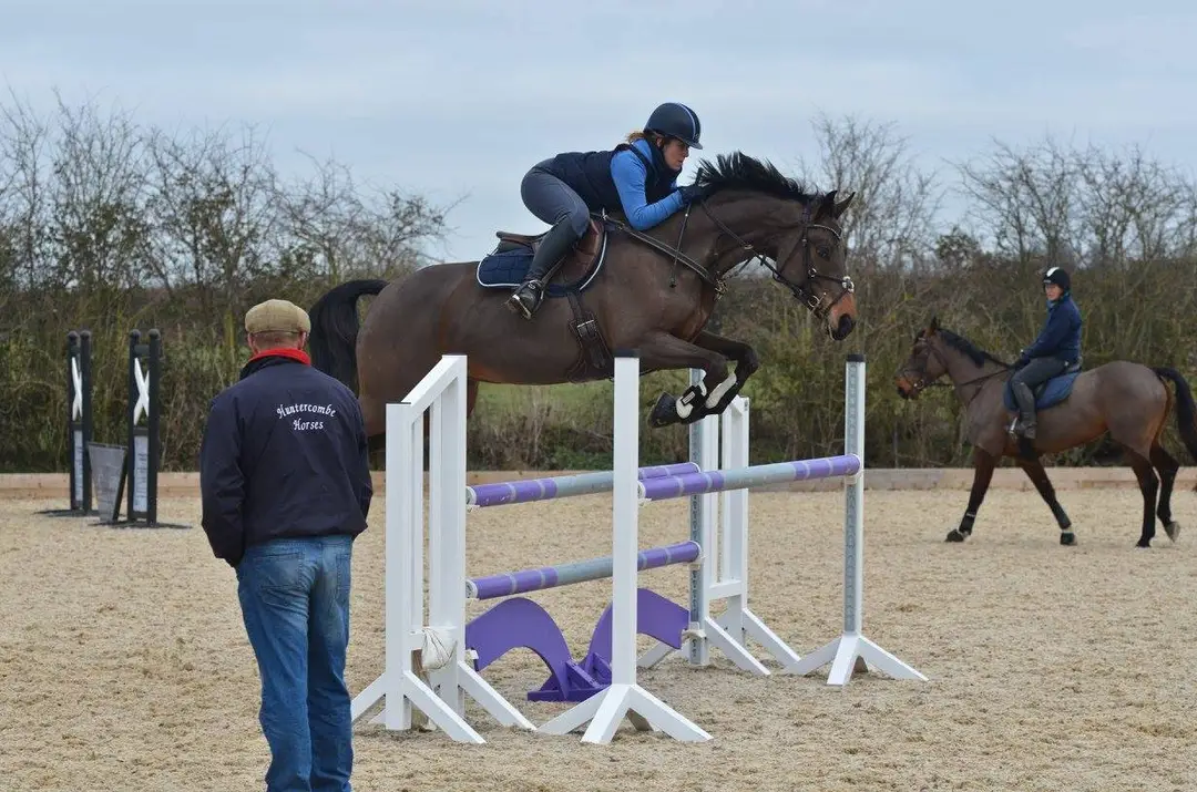 Huntercombe Horses