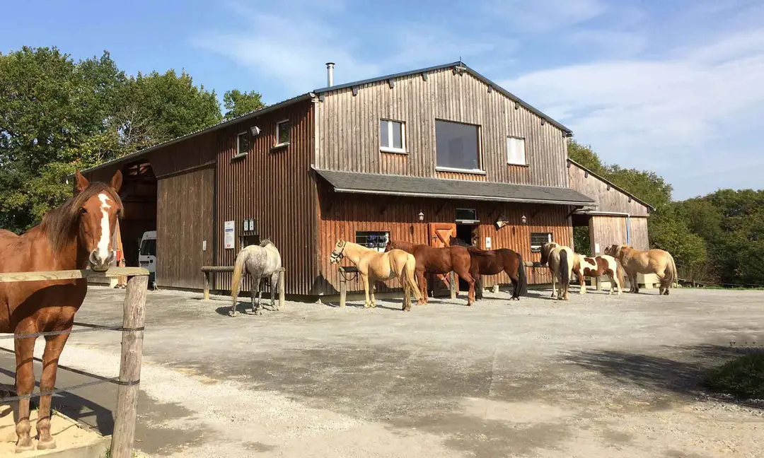 FERME EQUESTRE CRINIERES AUX VENTS