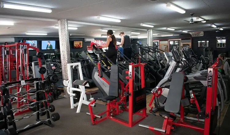 Muscle & Fitness Gym