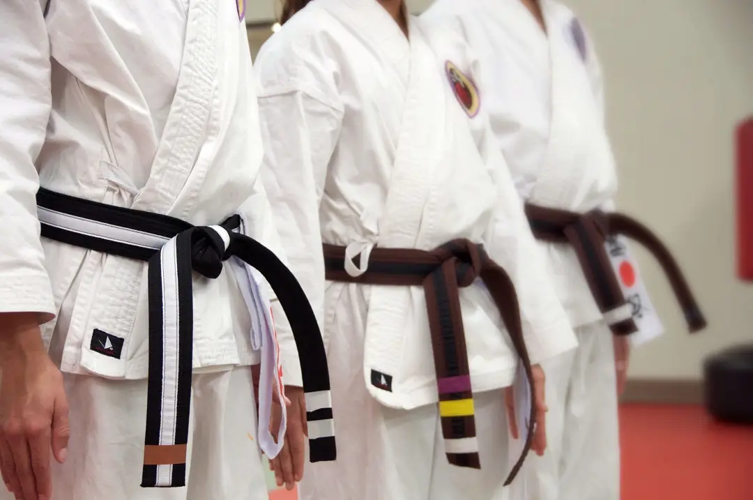 Okinawa Shorin Ryu