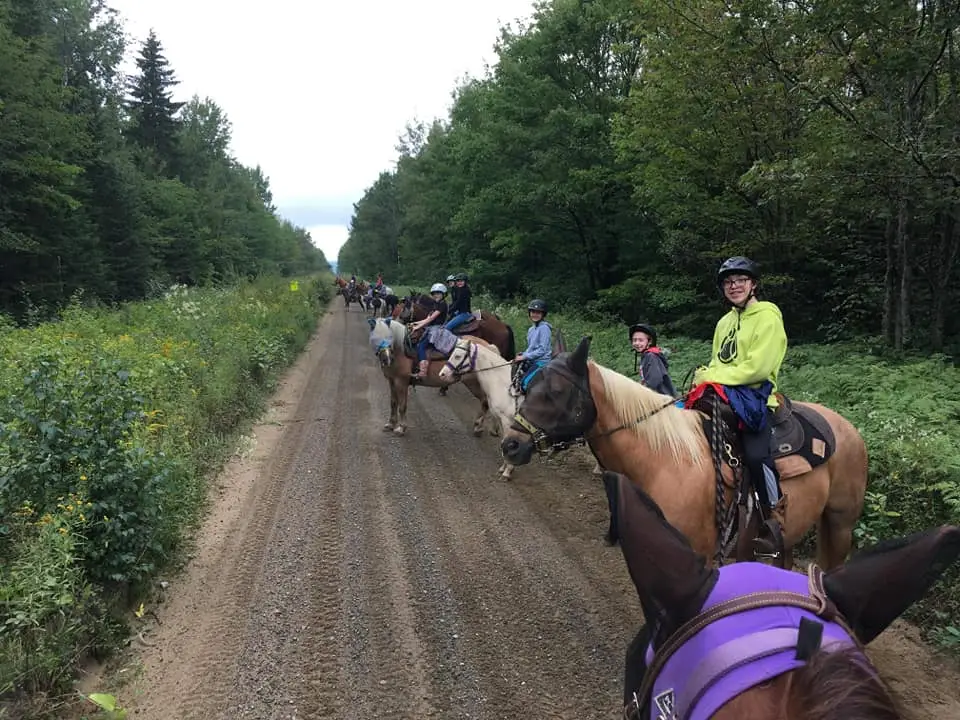 The Equi-AMI stables