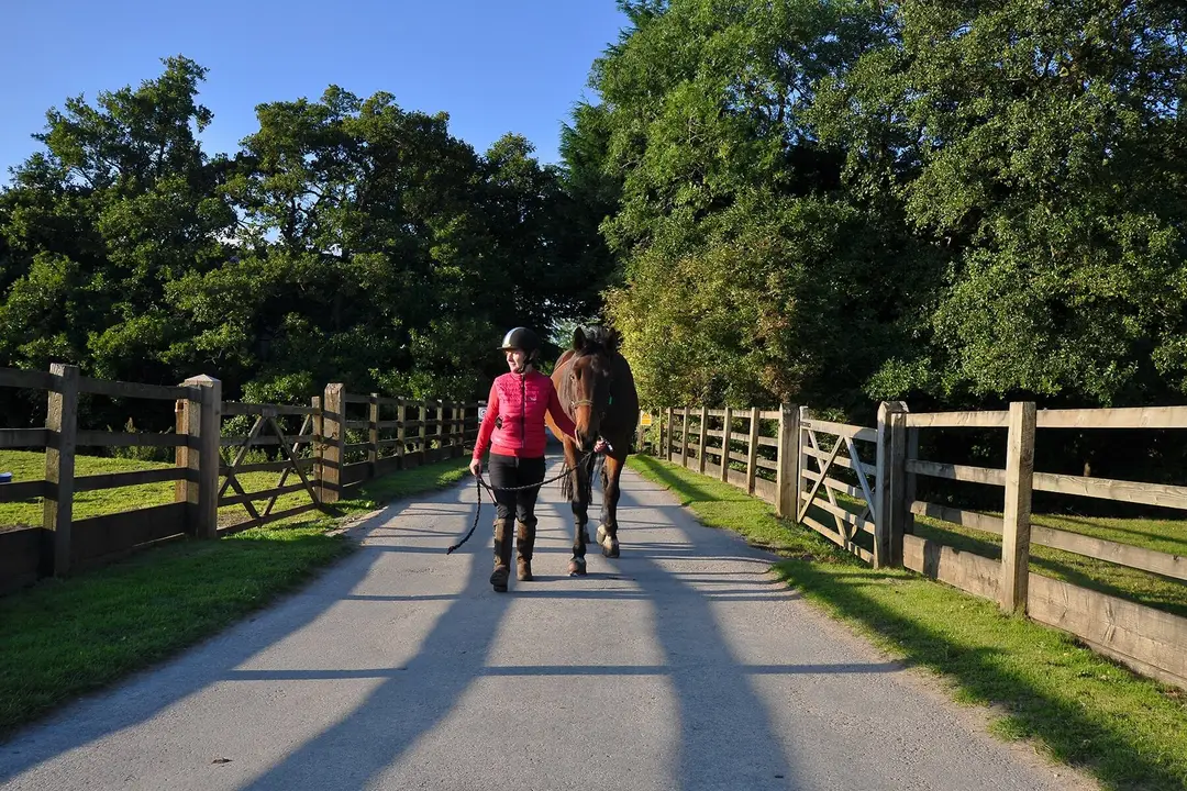 Bewerley Riding Centre