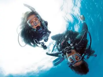 Diving Lm