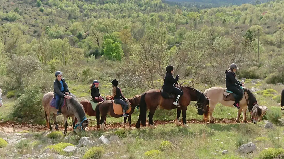 Les Poun's En Herbe