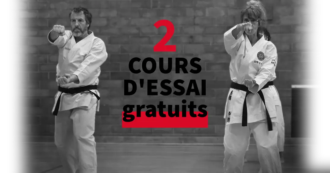 Karat Shotokan des Laurentides