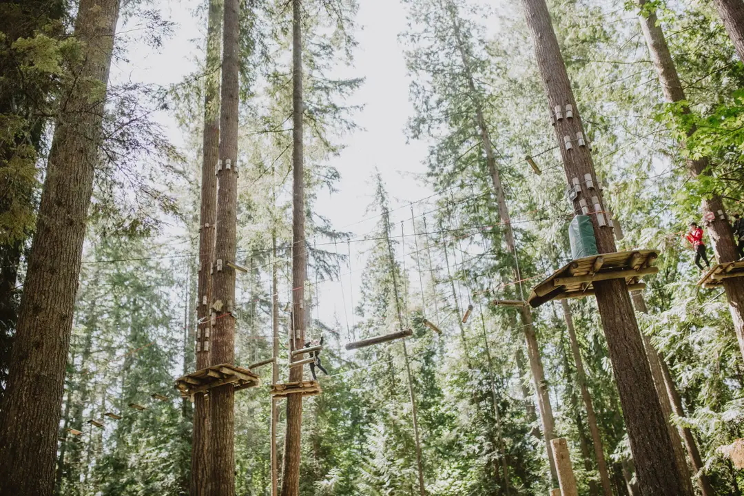 WildPlay Nanaimo
