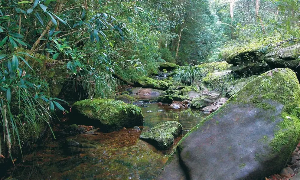 Russell Reserve
