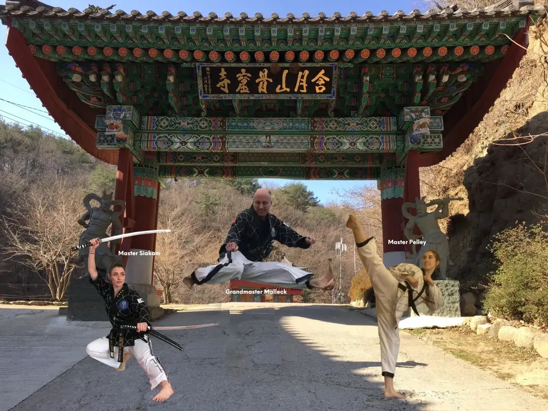TKD Galt - Taekwondo