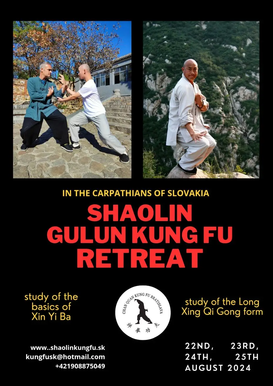 Chan quan kung fu