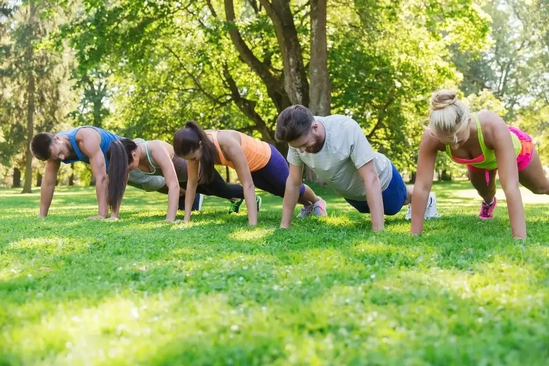 The Fitness Company