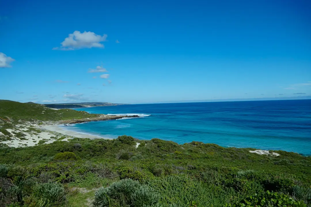 Margaret River Surfing Academy