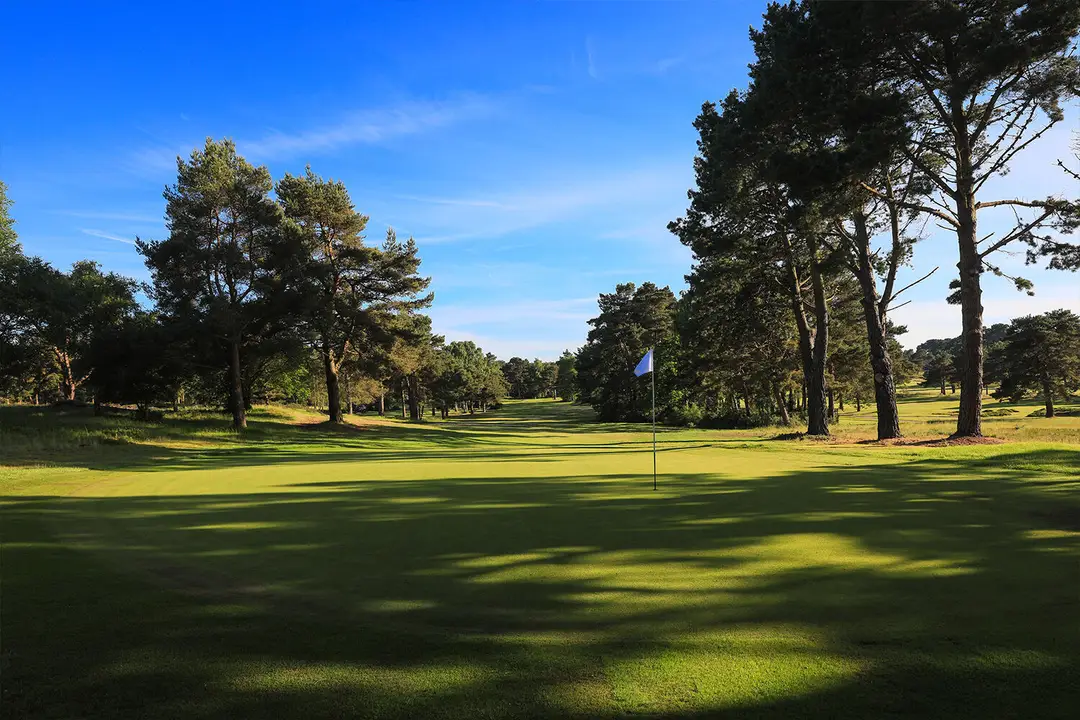 Ferndown Golf Club