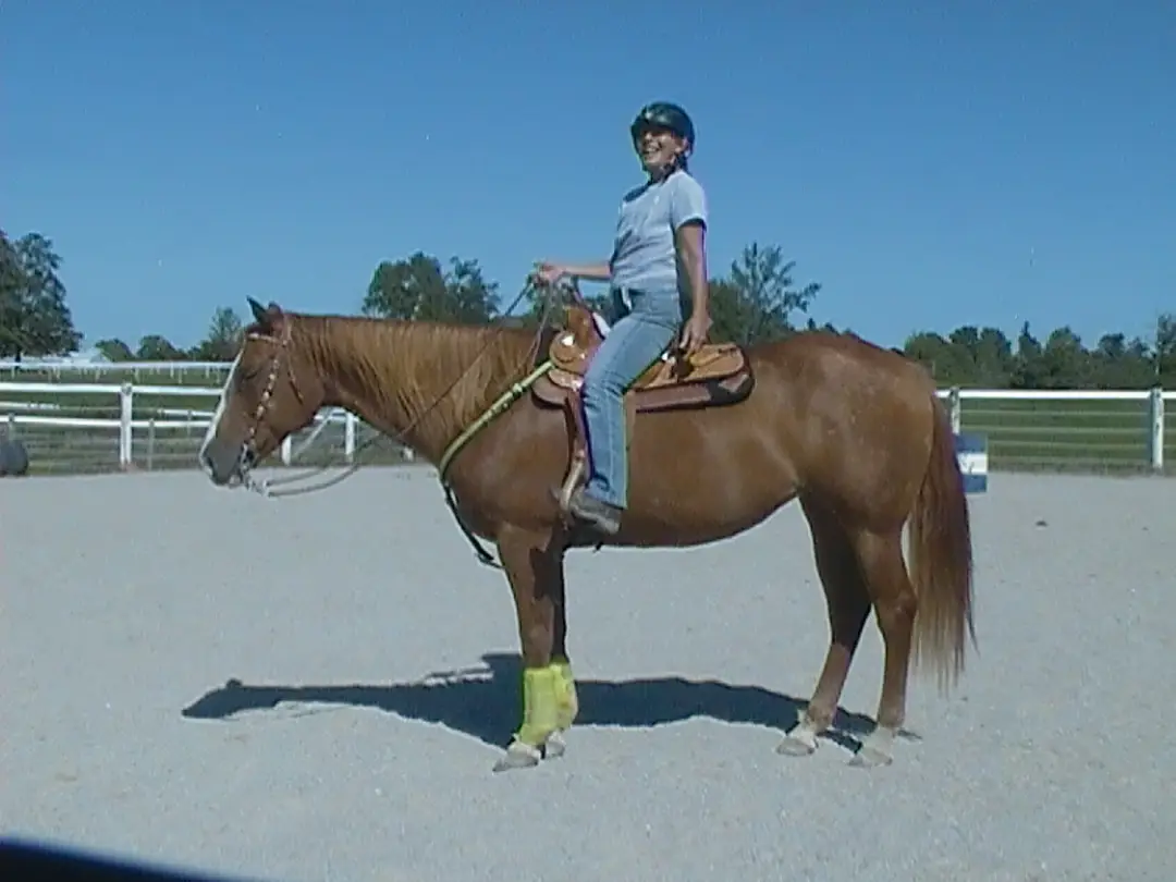 Equestrian Arts