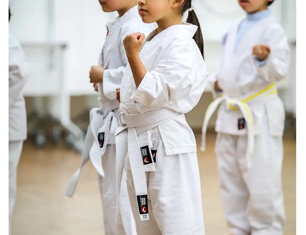 Le Bros' Karate