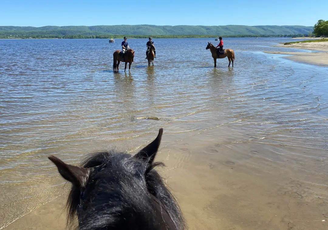Meadowvale Farm Equestrian Centre