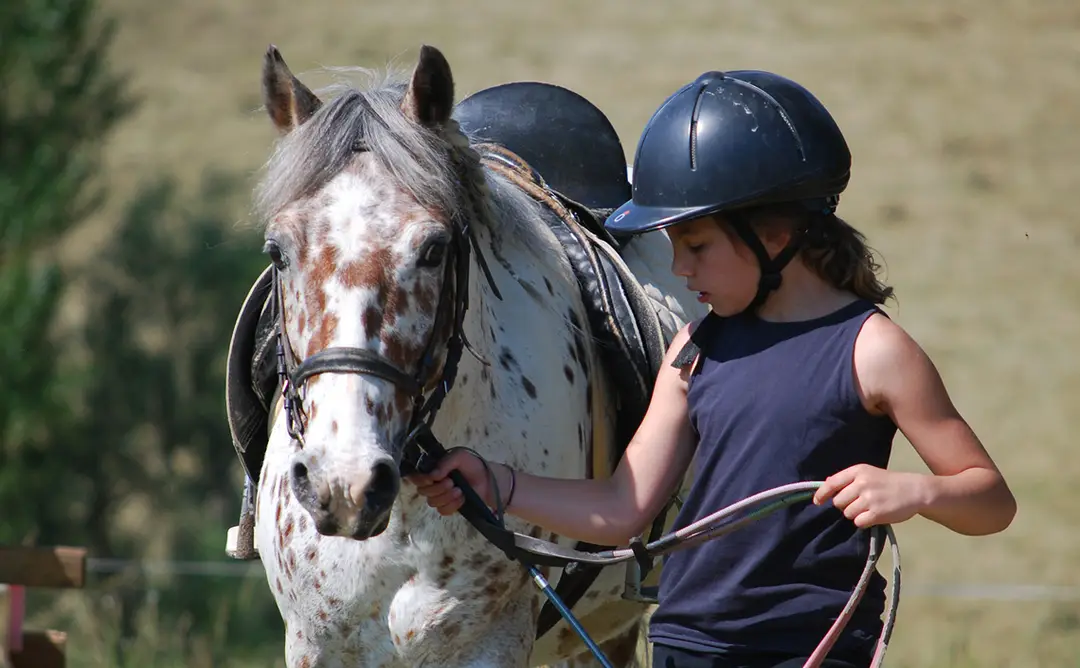 La Chevauchée - Equestrian Center