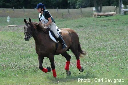 LE PONEY-CLUB