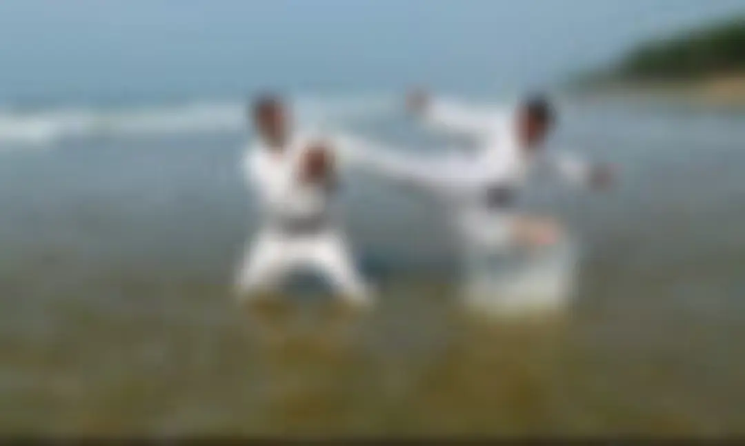 MODERN SHOTOKAN KARATE-DO ASSOCIATION, India