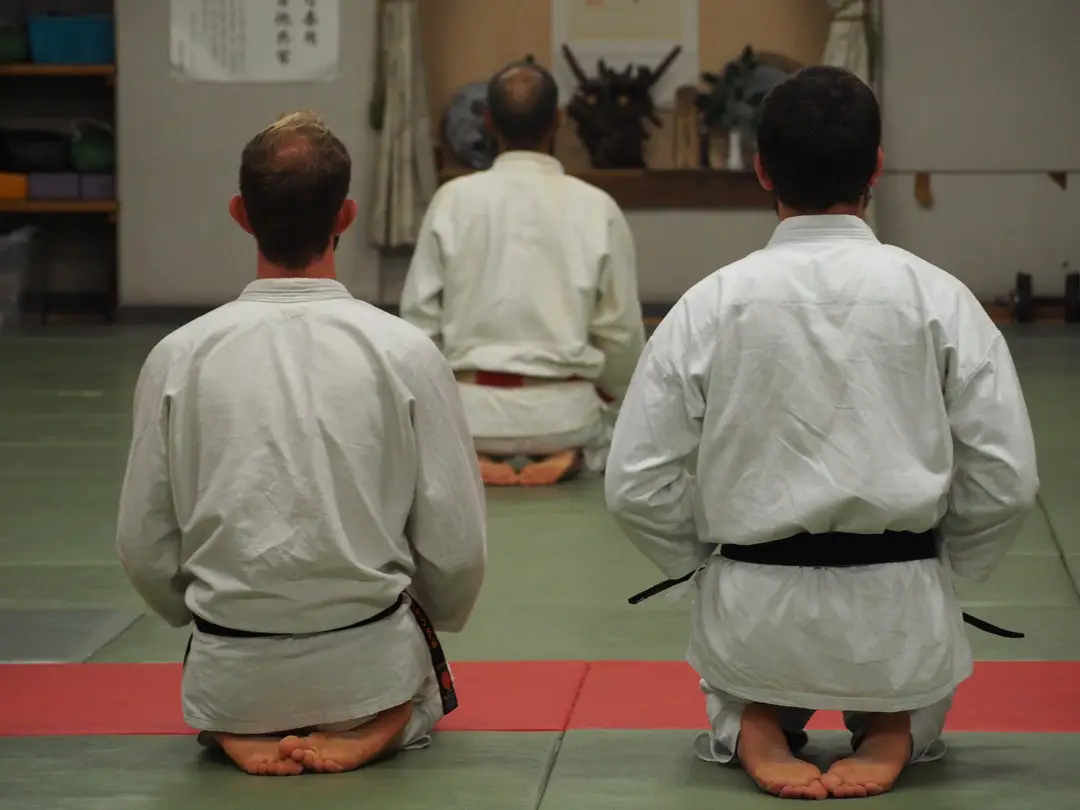 nihon taijitsu pontault combault