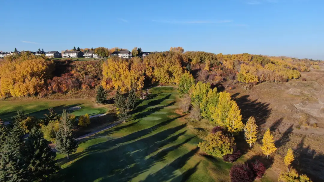 avgolfyyc.com