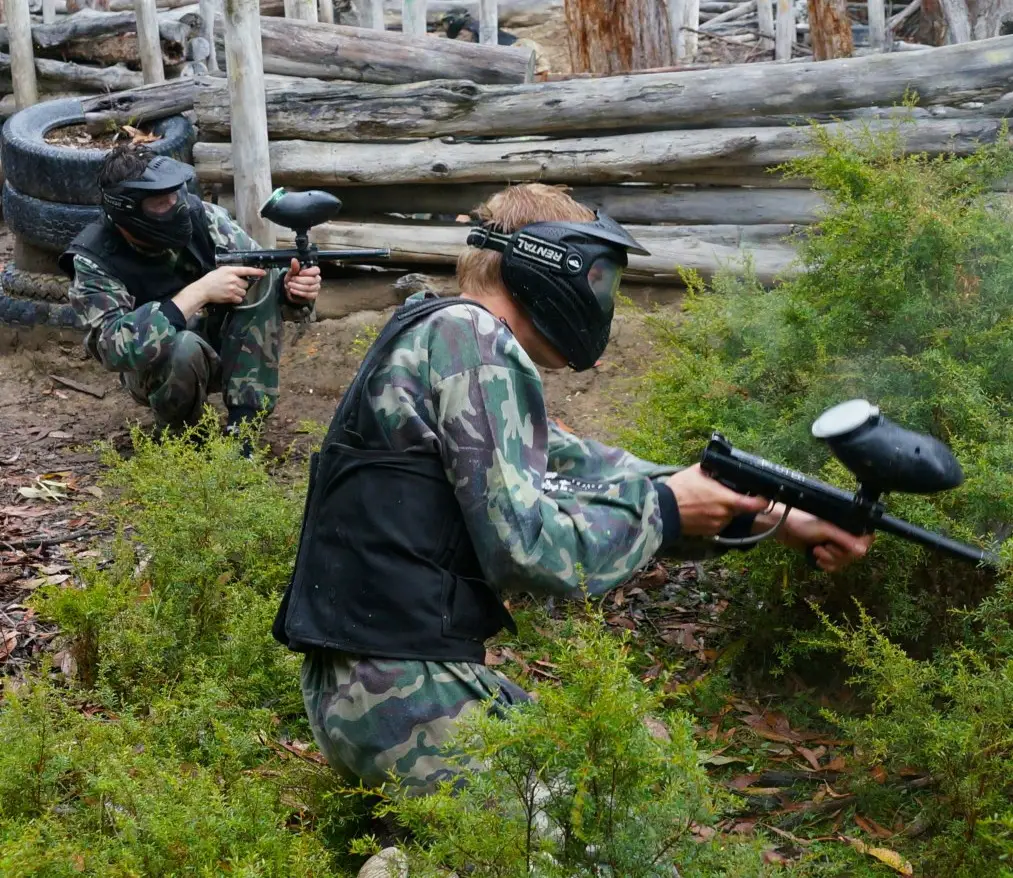 Paintball Cockatoo