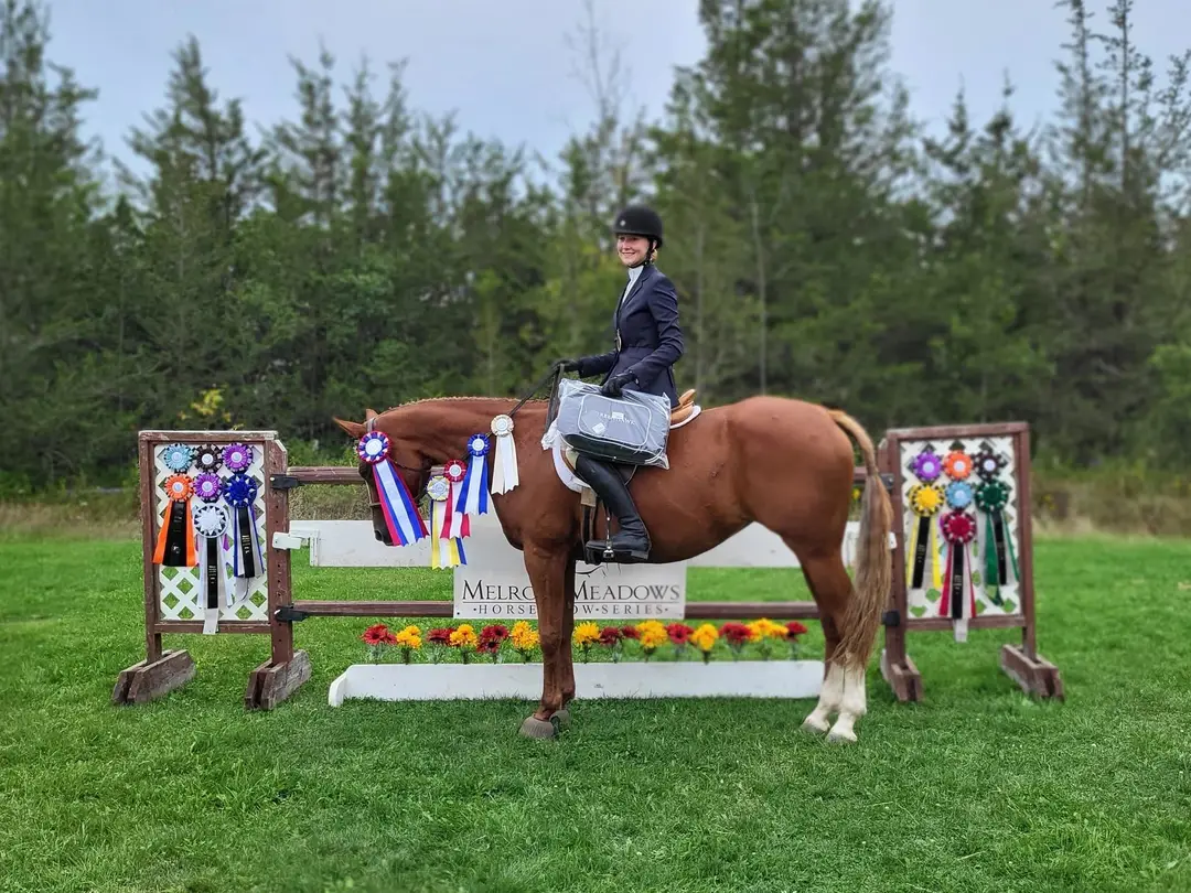 Melrose Meadows Show Series