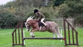 Saddlers Riding Club