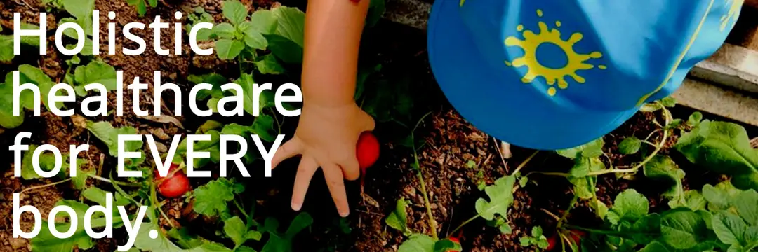 Funky Forest Health & Wellbeing - Upper Coomera