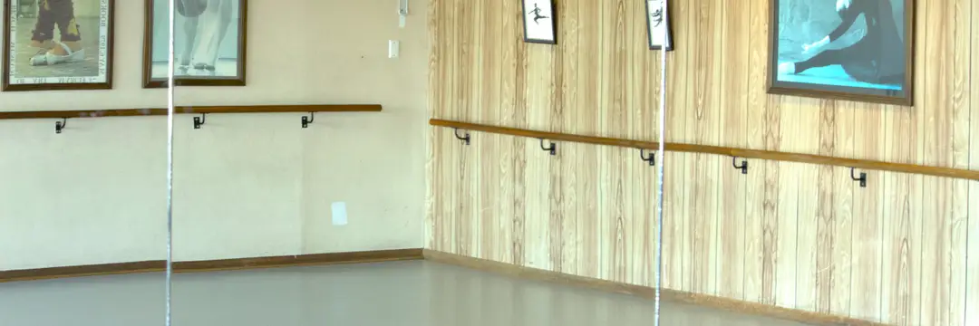 Lane Cove Dance Academy 