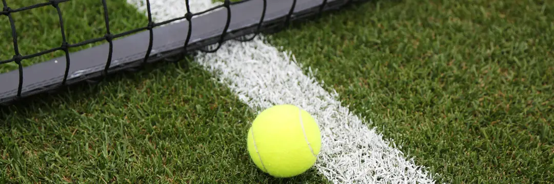 Marrickville District Lawn Tennis Club