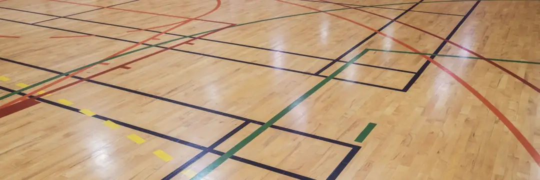 Dodgeball Federation Australia (DFA)