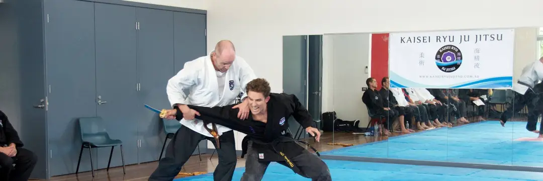 Kaisei Ryu Ju Jitsu