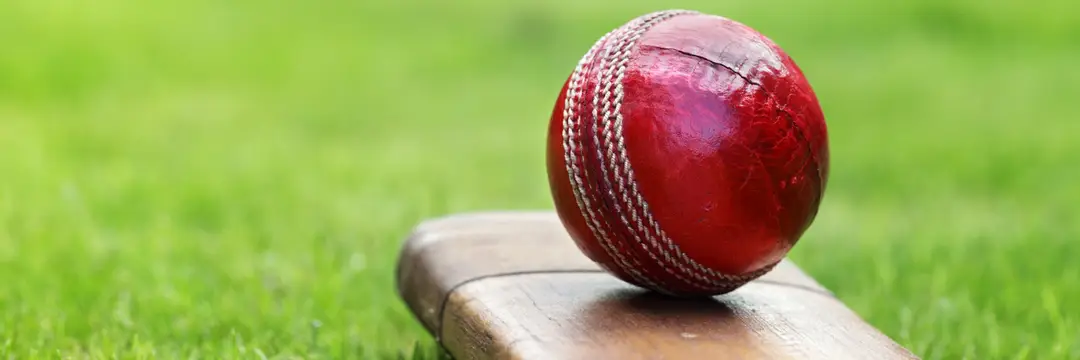Elite Cricket